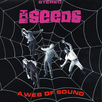 A Web Of Sound